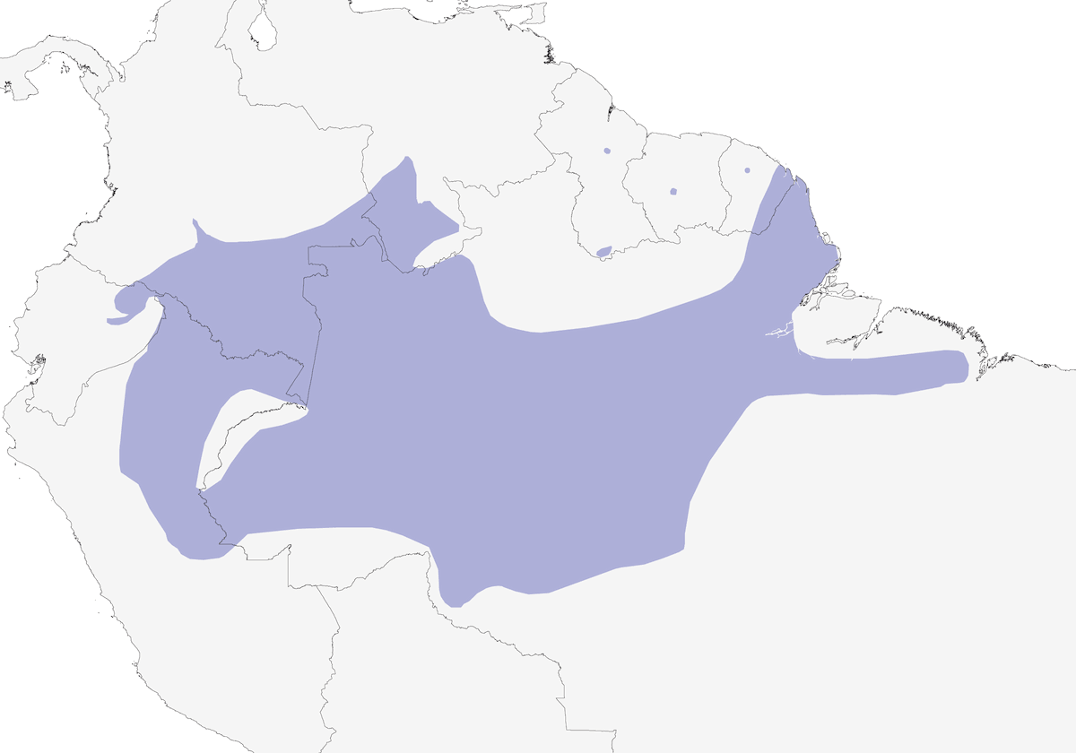 Spot-throated Woodcreeper, Distribution 1