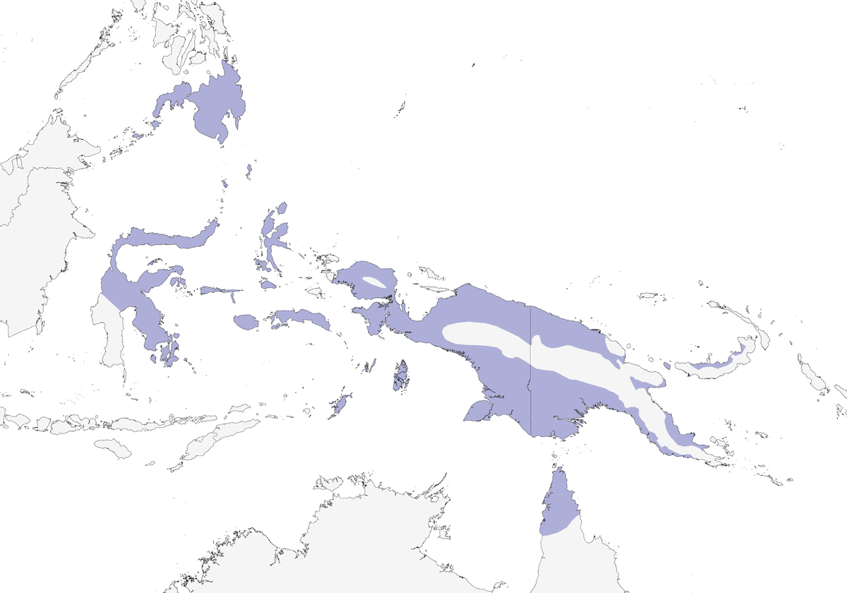 Spotted Whistling-Duck, Distribution 1