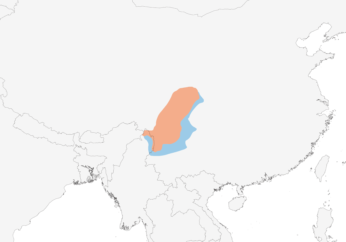 Camachuelo Rosado de Sharpe, Distribución 1