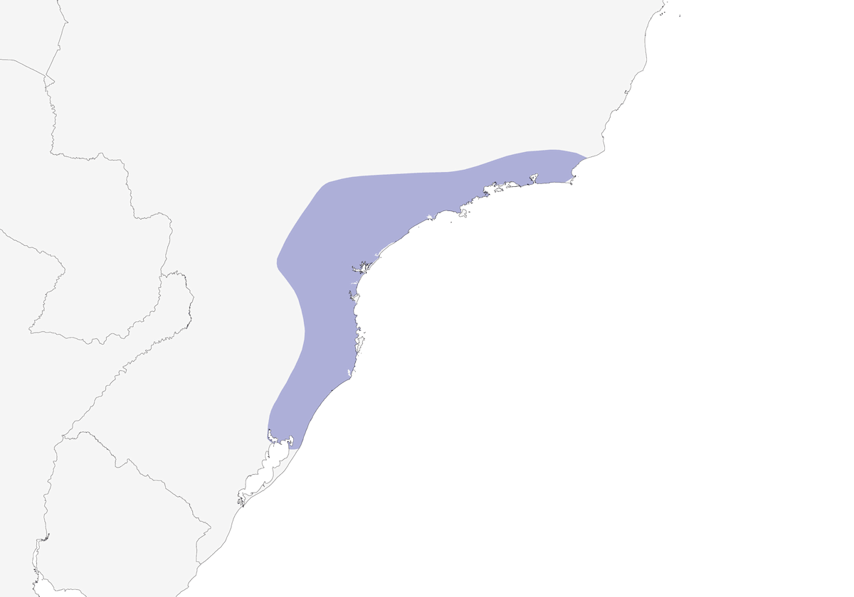 Hormiguero Escamoso, Distribución 1