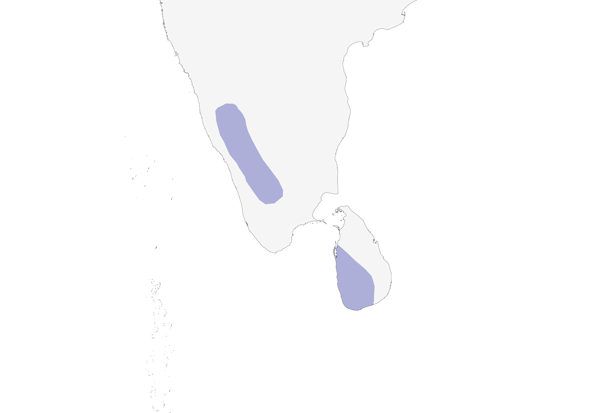 Sri-Lanka-Bänder-Eule, Verbreitung 1