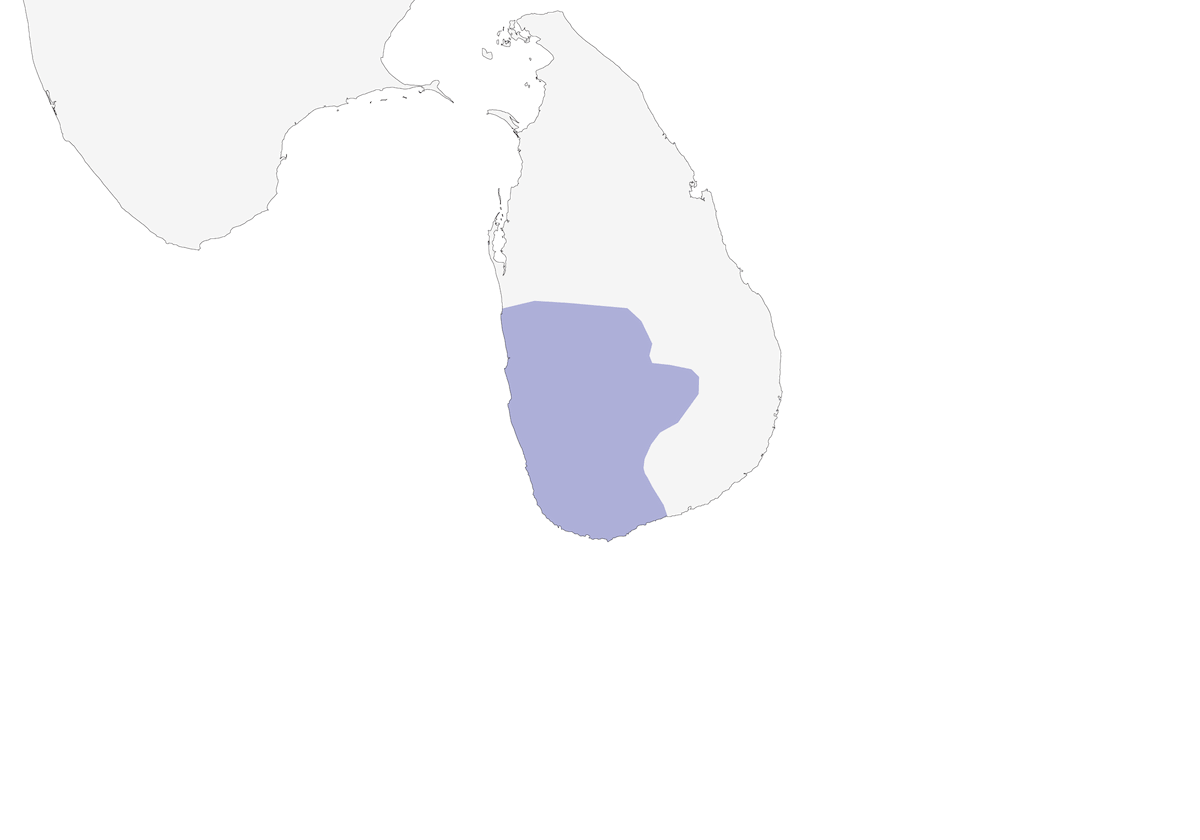 Drongo de Sri Lanka, Distribución 1