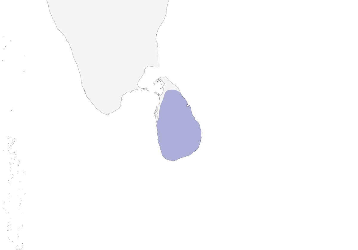 Sri-Lanka-Säbler, Verbreitung 1