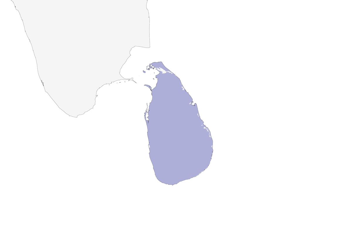 Sri Lanka Swallow, 分布 1