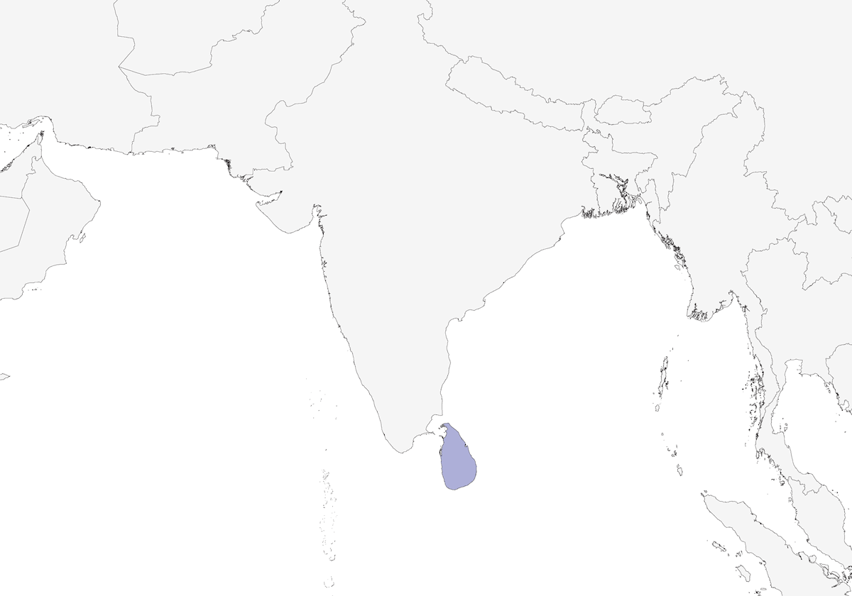 Sri Lanka Woodshrike, 分布 1