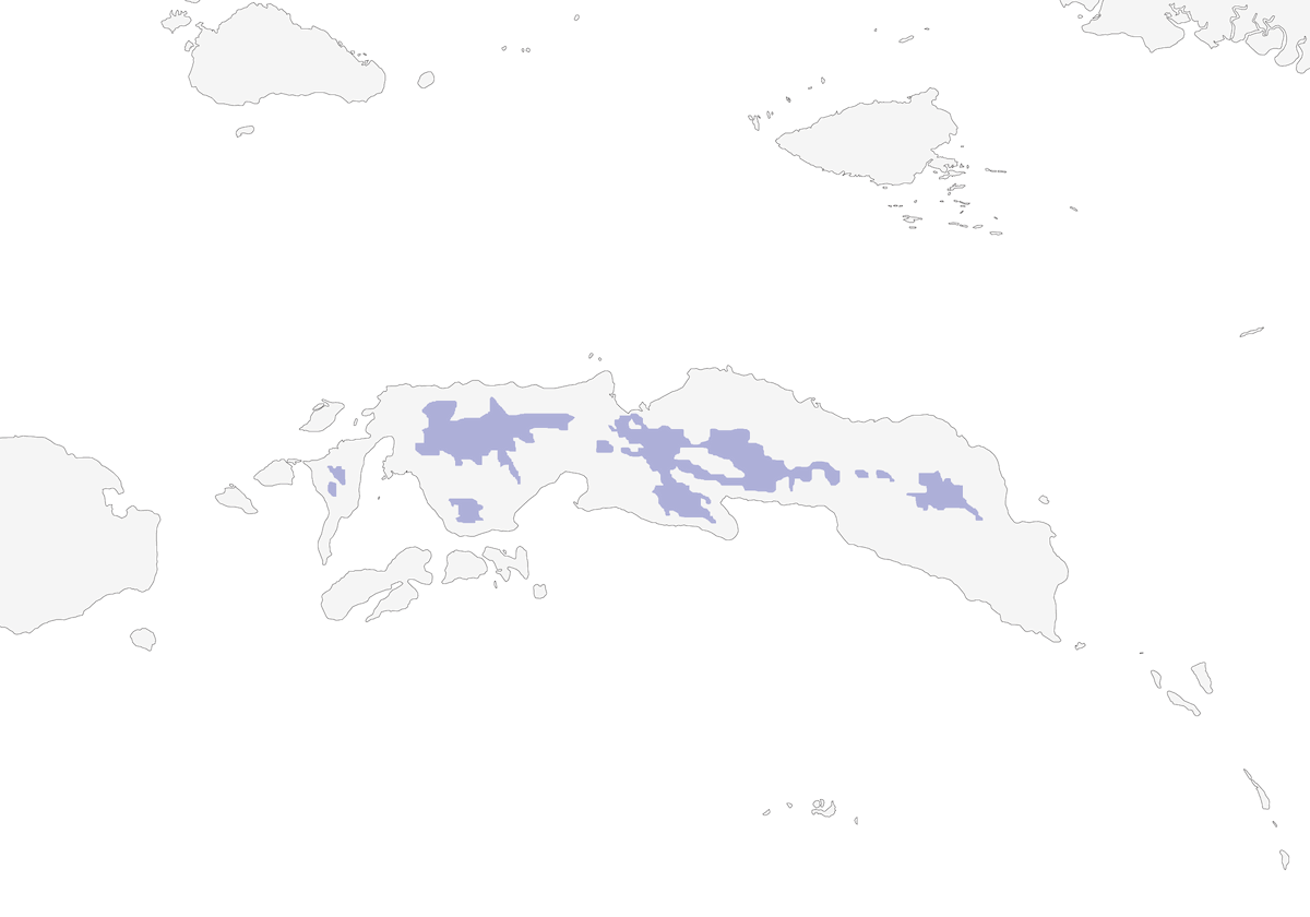 Streak-breasted Fantail, Distribution 1