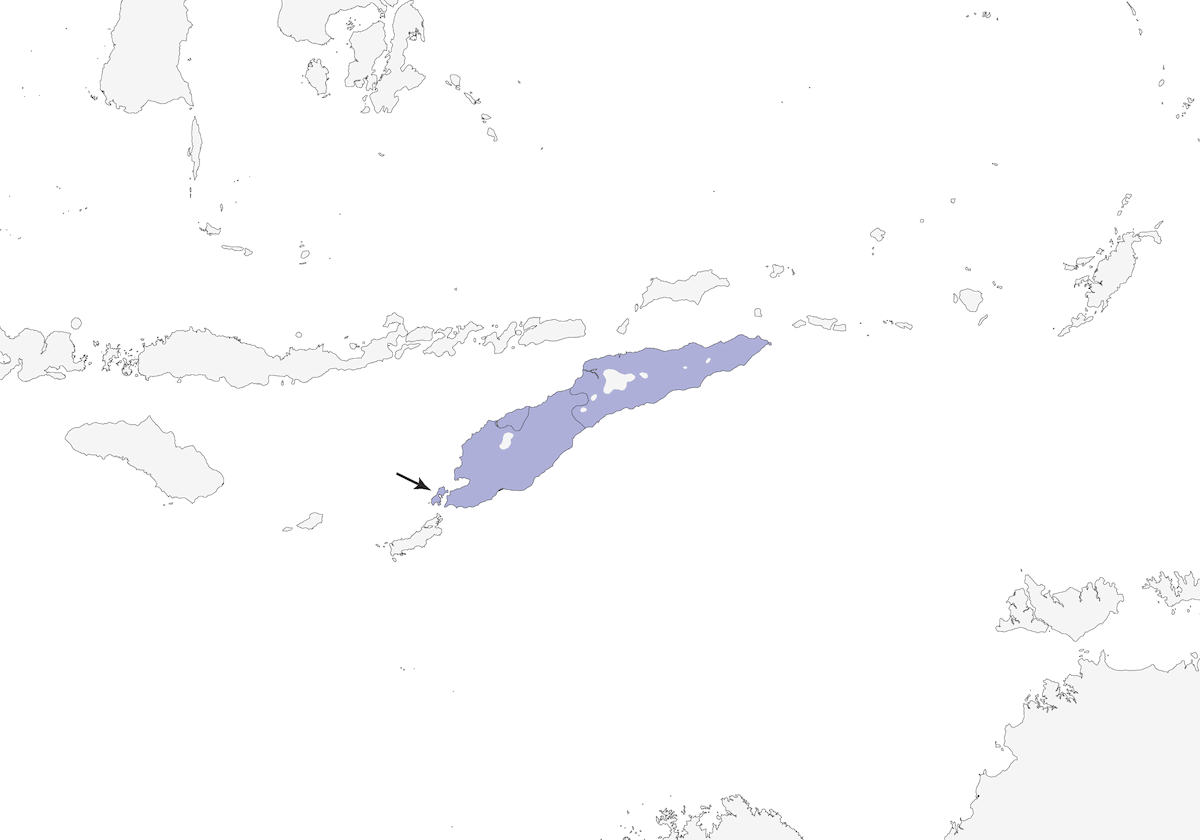 Méliphage strié, Distribution 1