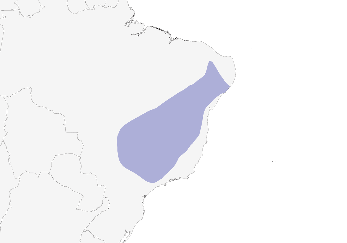 Stripe-breasted Starthroat, Distribution 1