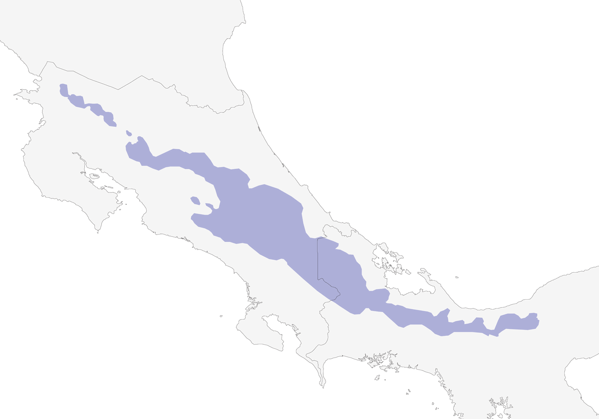 Trepatroncos de pecho estriado, Distribución 1