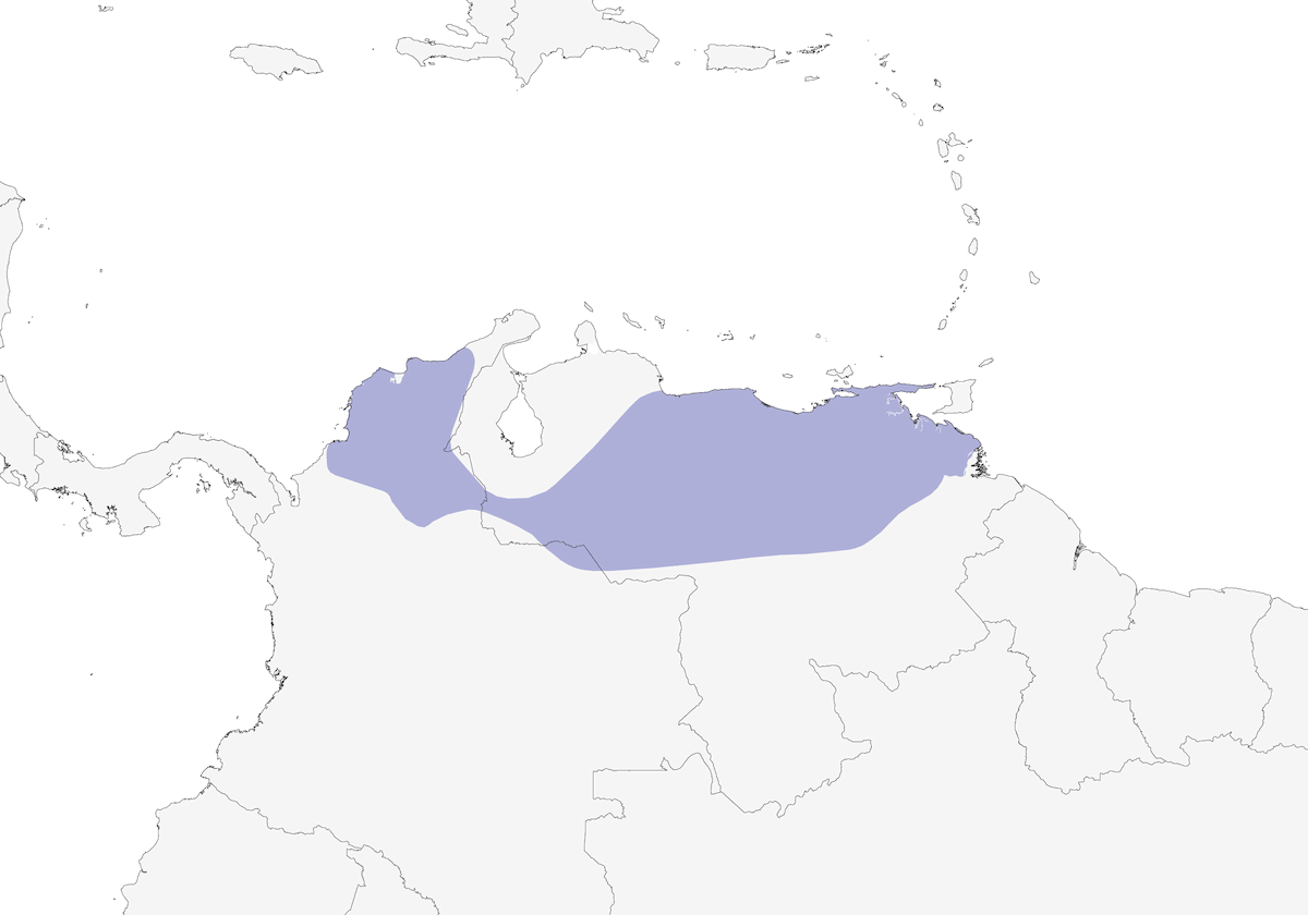 Troglodyte rayé, Distribution 1