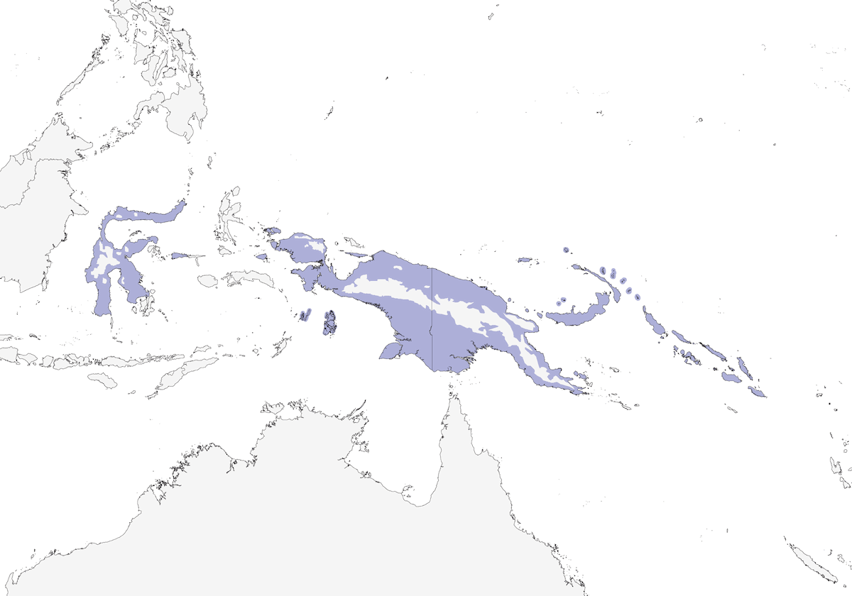 Stephan's Dove, Distribution 1