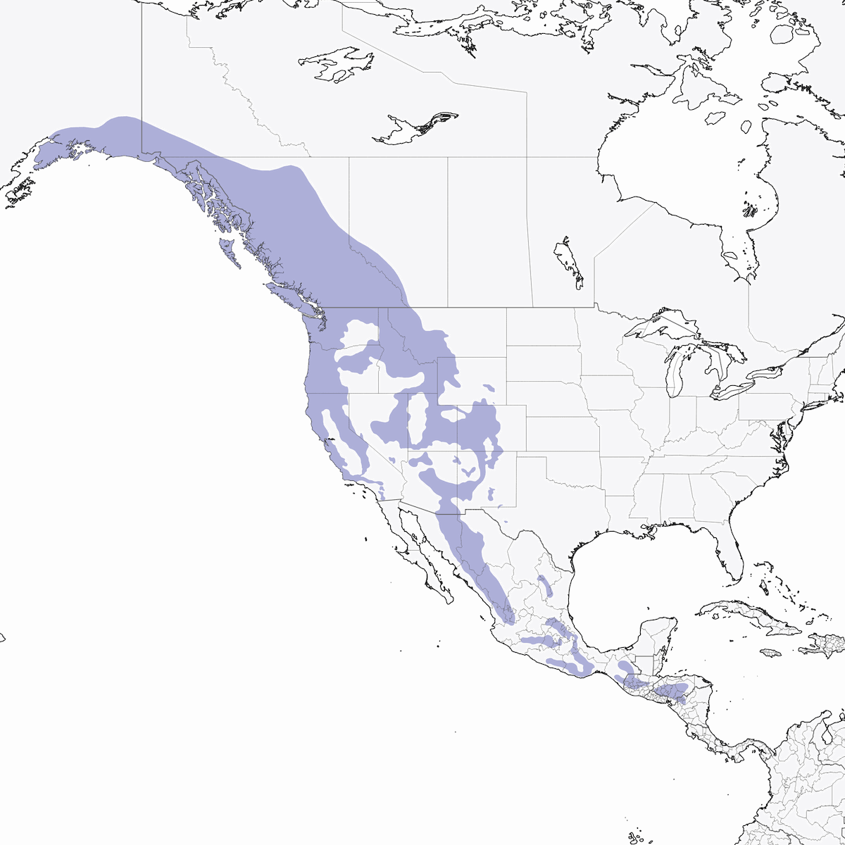 Arrendajo de Steller, Distribución 1