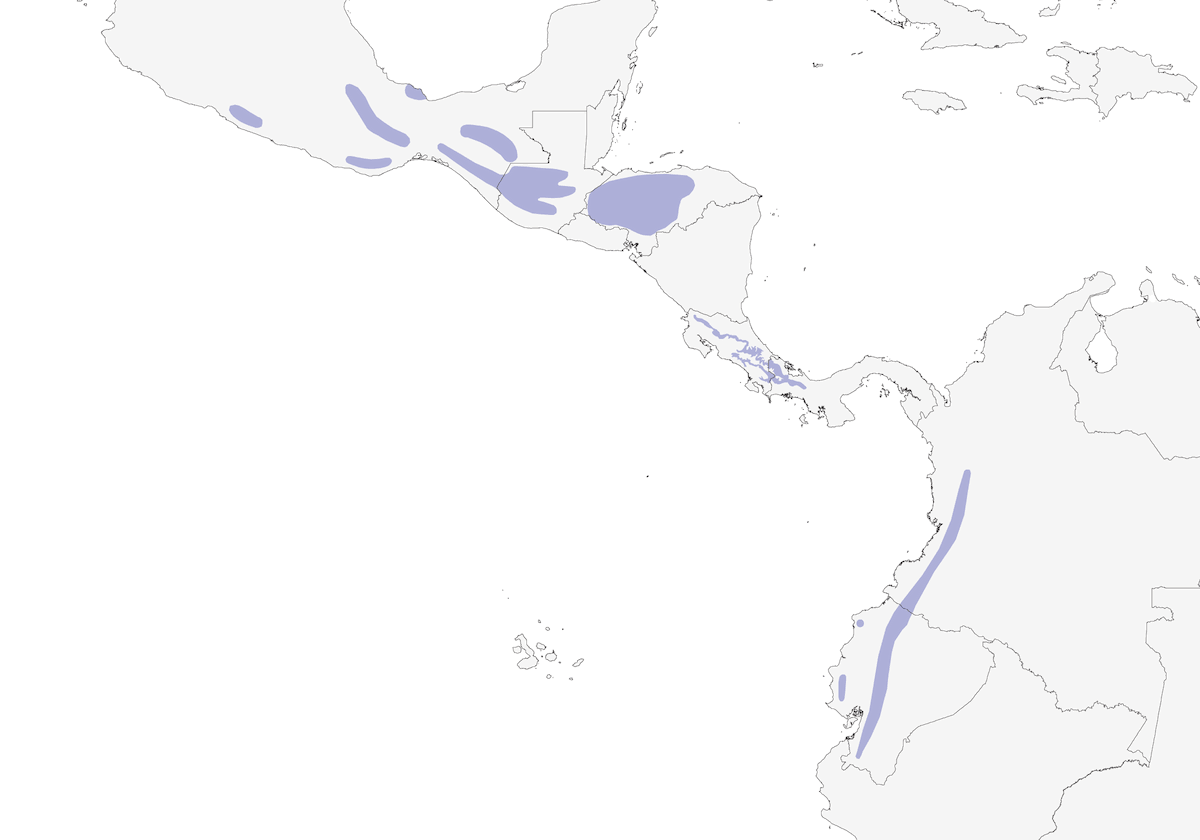 Fogliaiuolo golasquamata, Distribuzione 1
