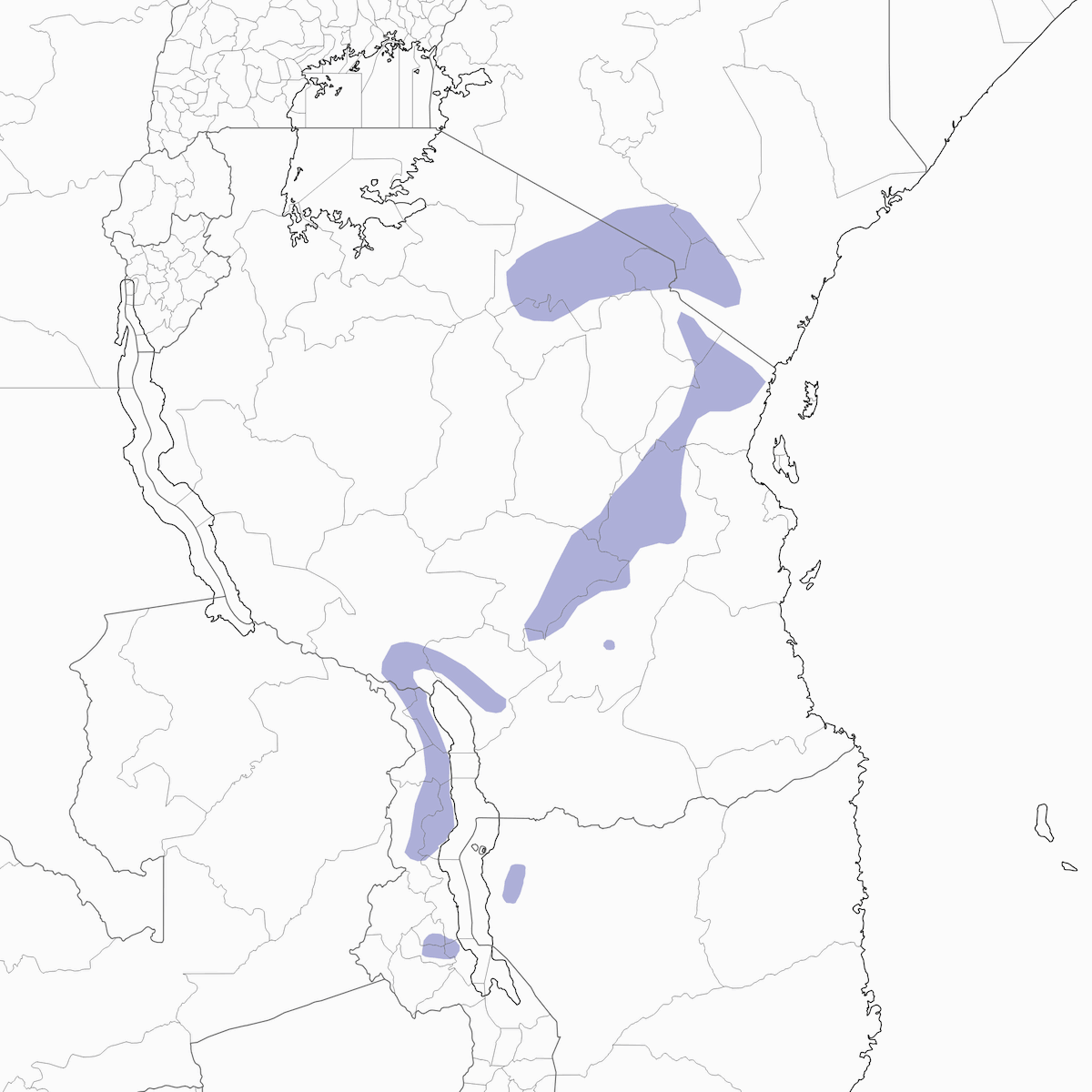 Bulbul Cabeciverde, Distribución 1