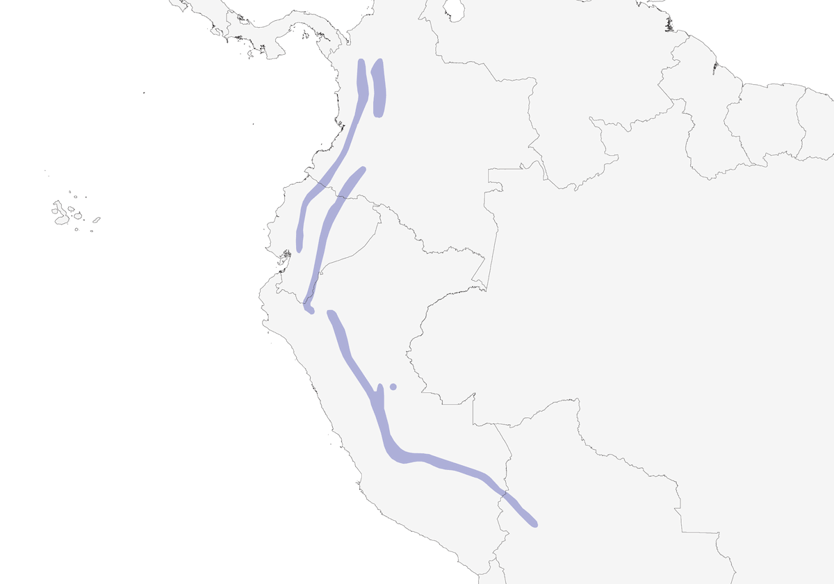 Hormiguero de Cabeza Rayada, Distribución 1