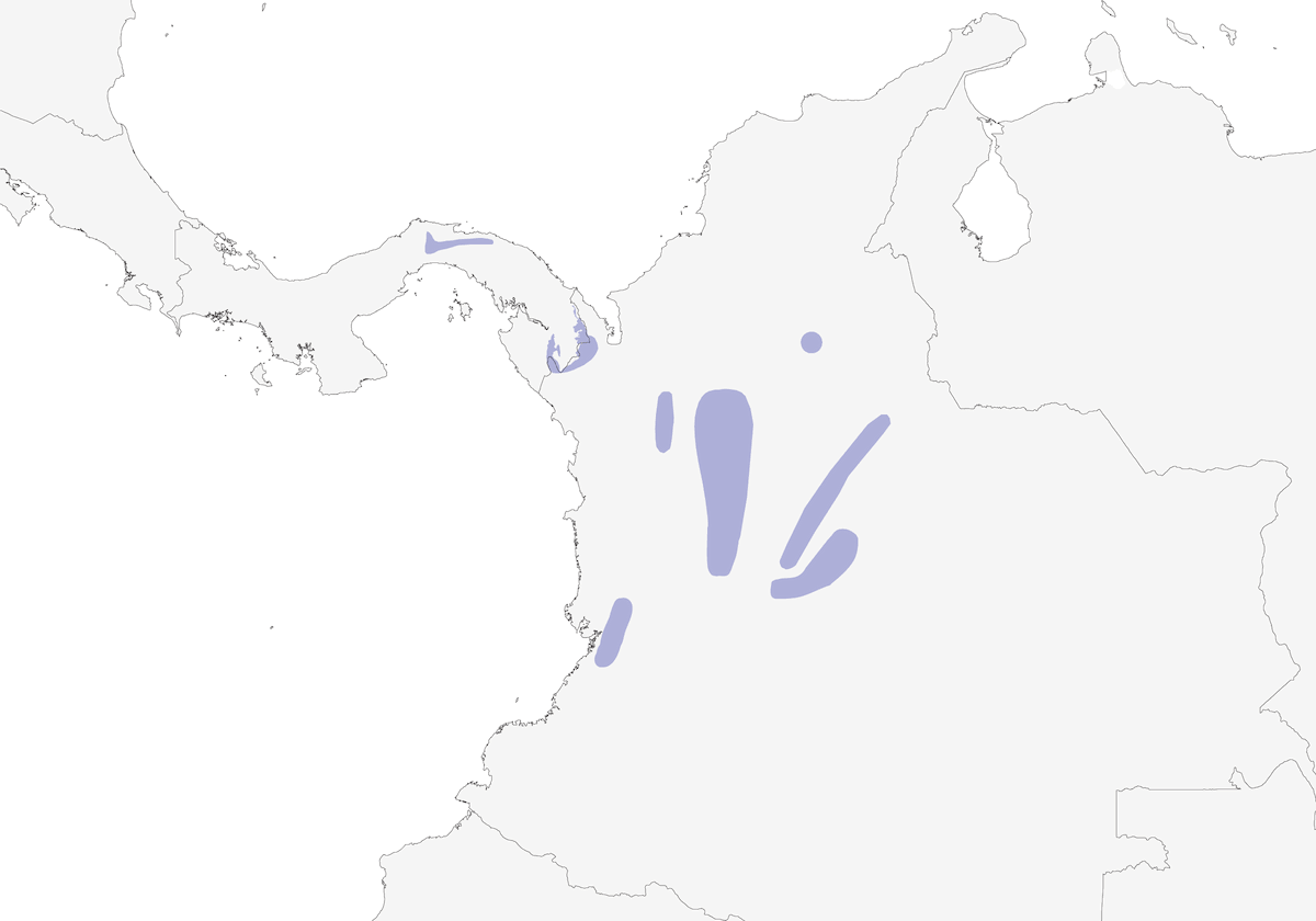 Black-headed Brushfinch, Distribution 1