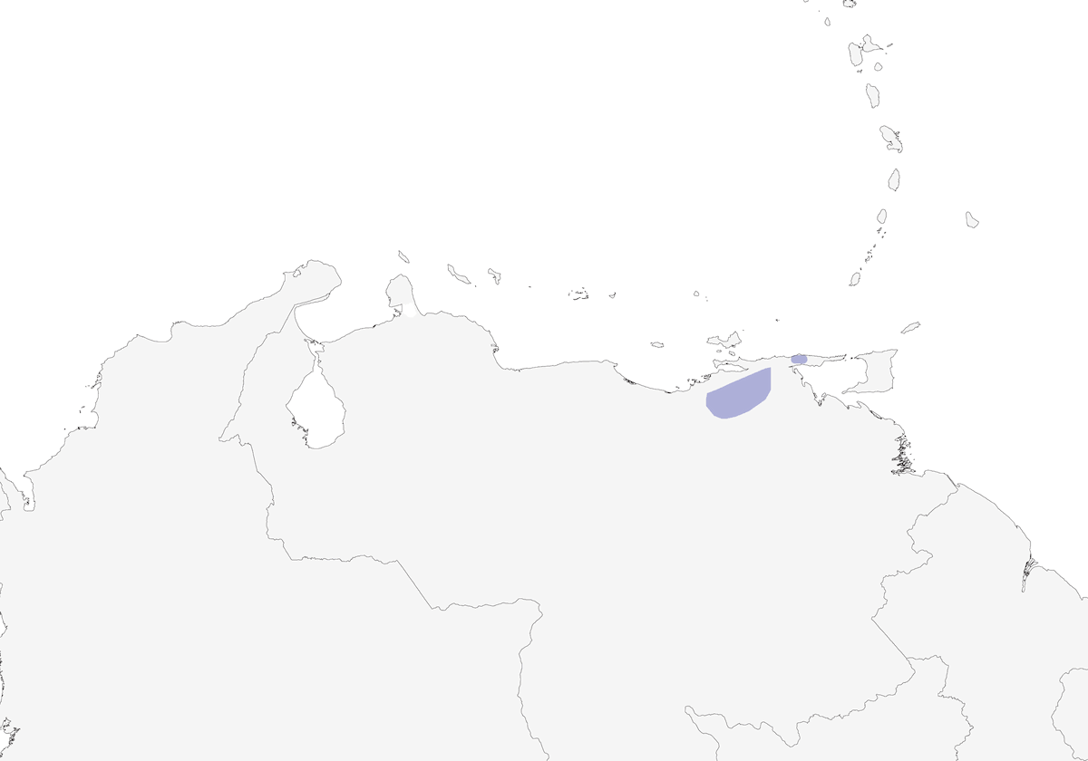 Atlapetes de Paria, Distribución 1