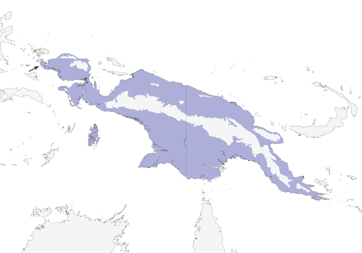Melifago striato, Distribuzione 1