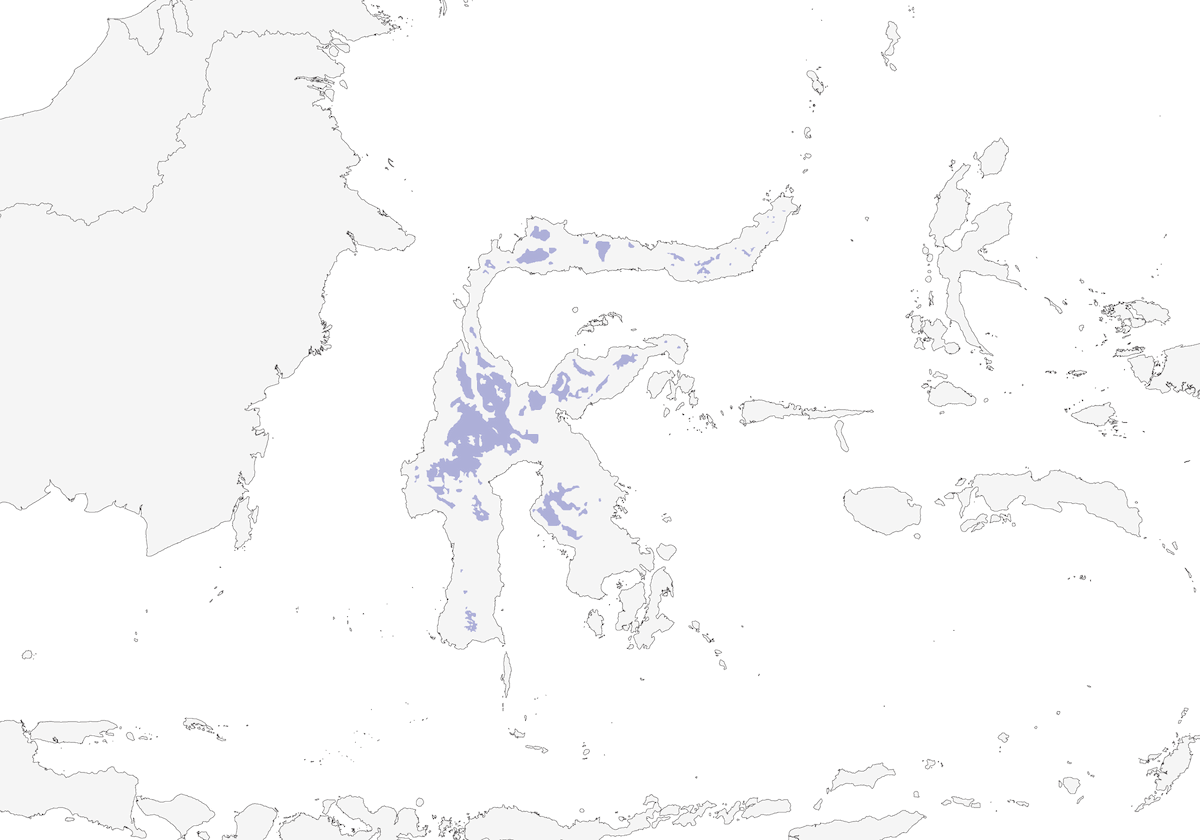 Sulawesi-Heleia, Verbreitung 1