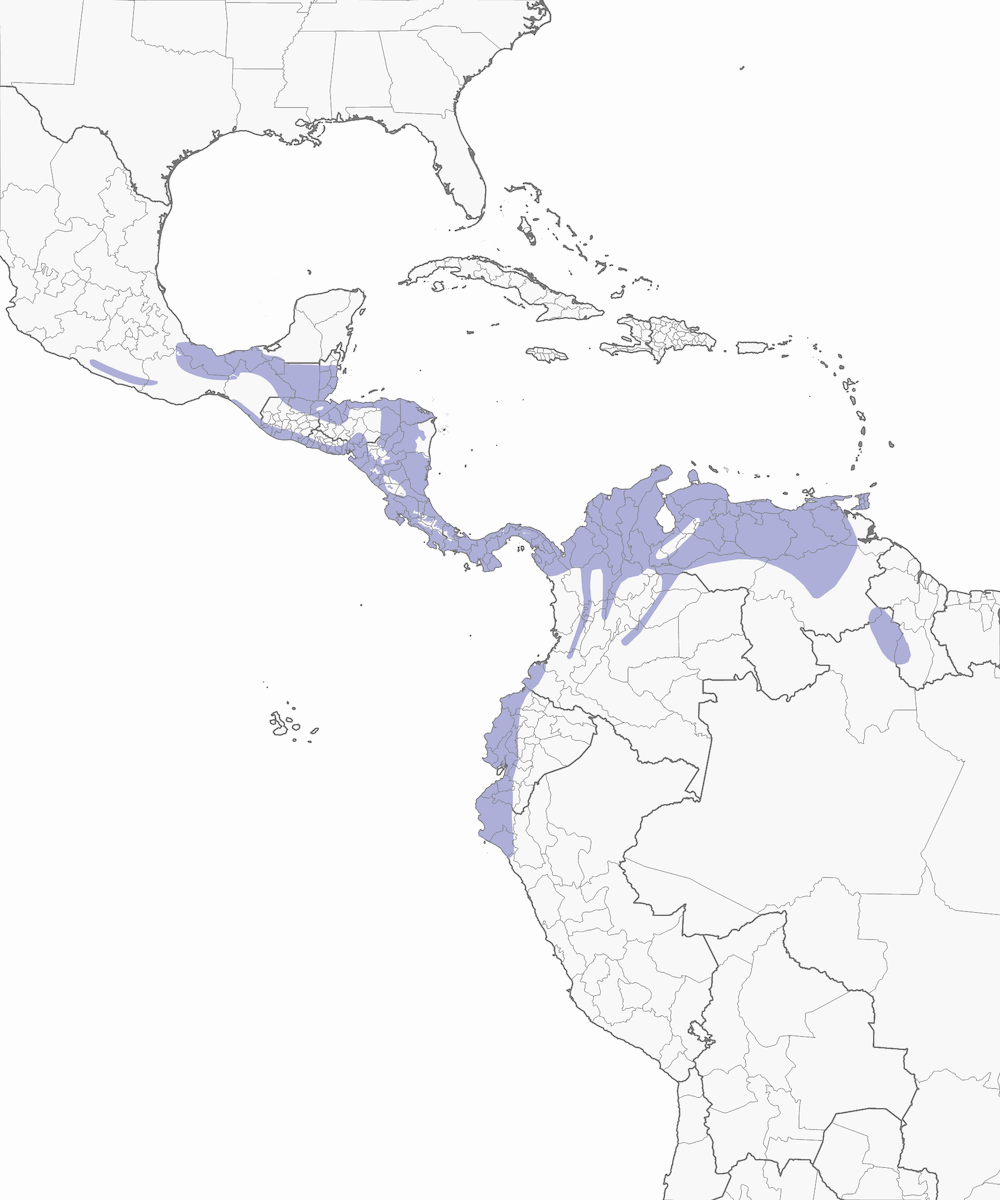 Streak-headed Woodcreeper, 分布 1