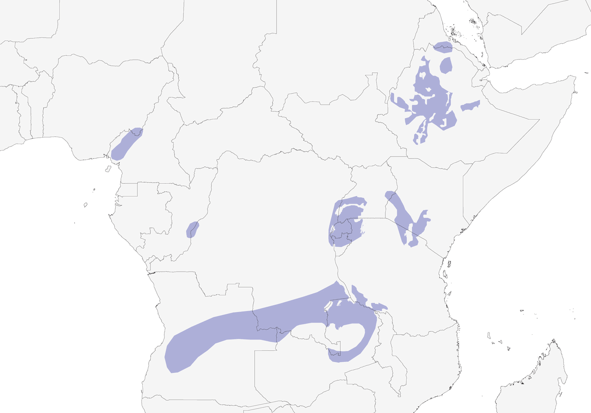 Cisticola robusta, Distribuzione 1
