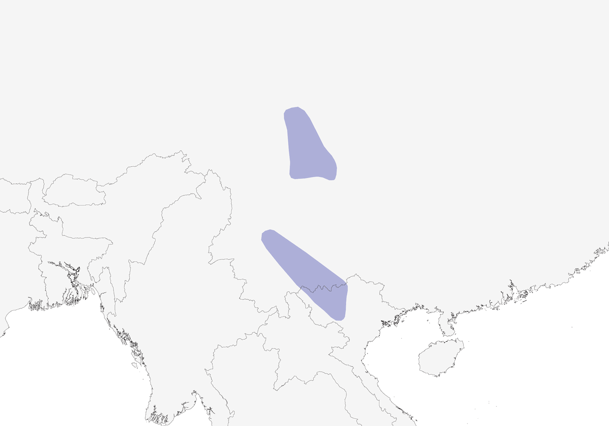 Alabarrata striata, Distribuzione 1