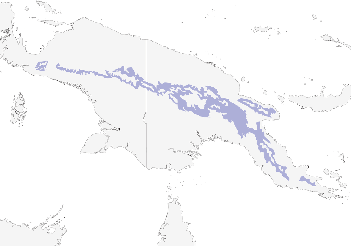Beccabacche striato, Distribuzione 1
