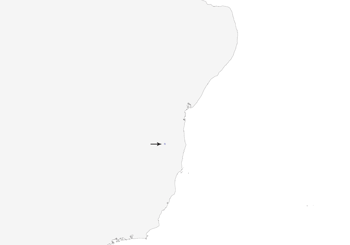 Stresemann's Bristlefront, Distribution 1