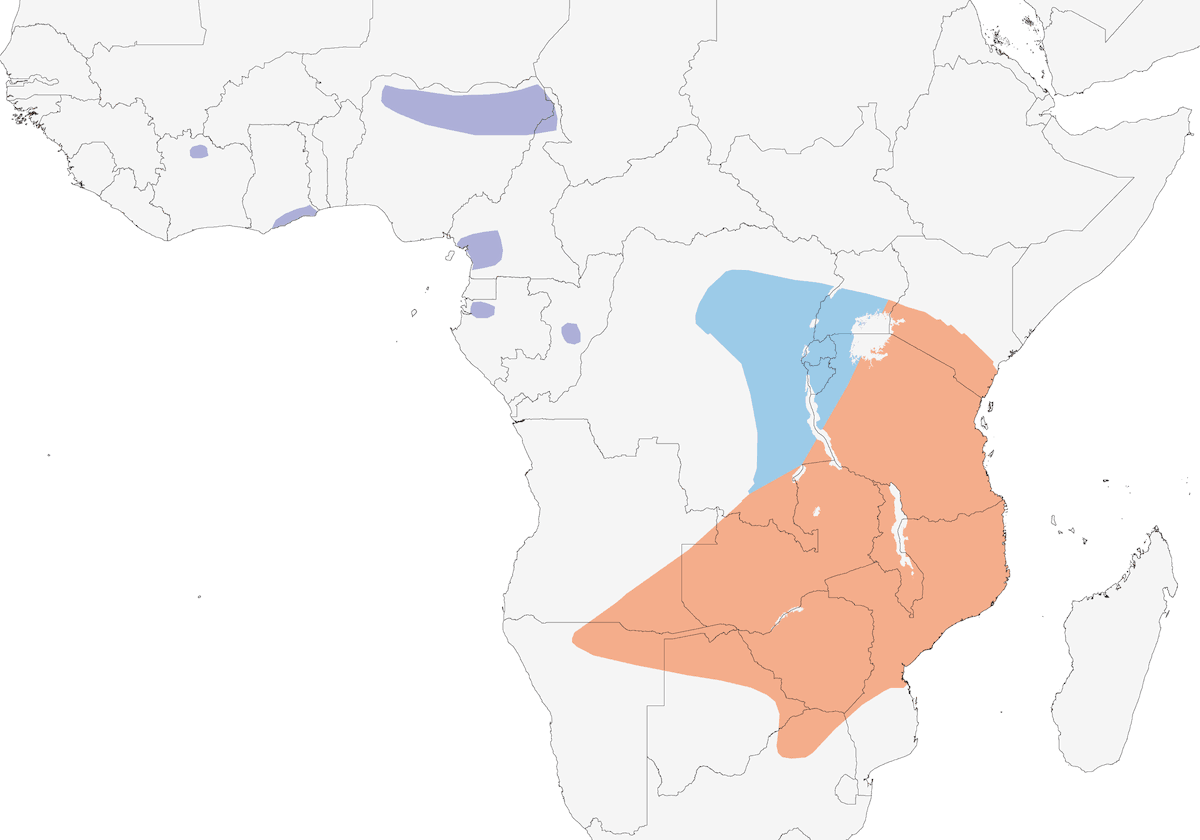 Polluela estriada, Distribución 1