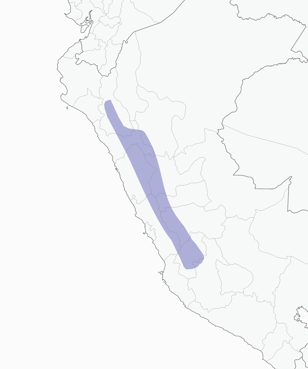 Caminero estriado, Distribución 1