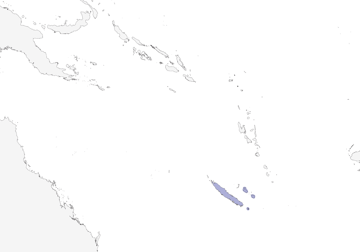 Codaventaglio striato della Nuova Caledonia, Distribuzione 1
