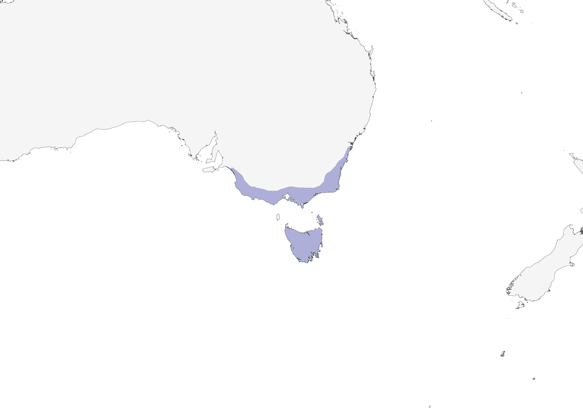 Striated Fieldwren, Distribution 1