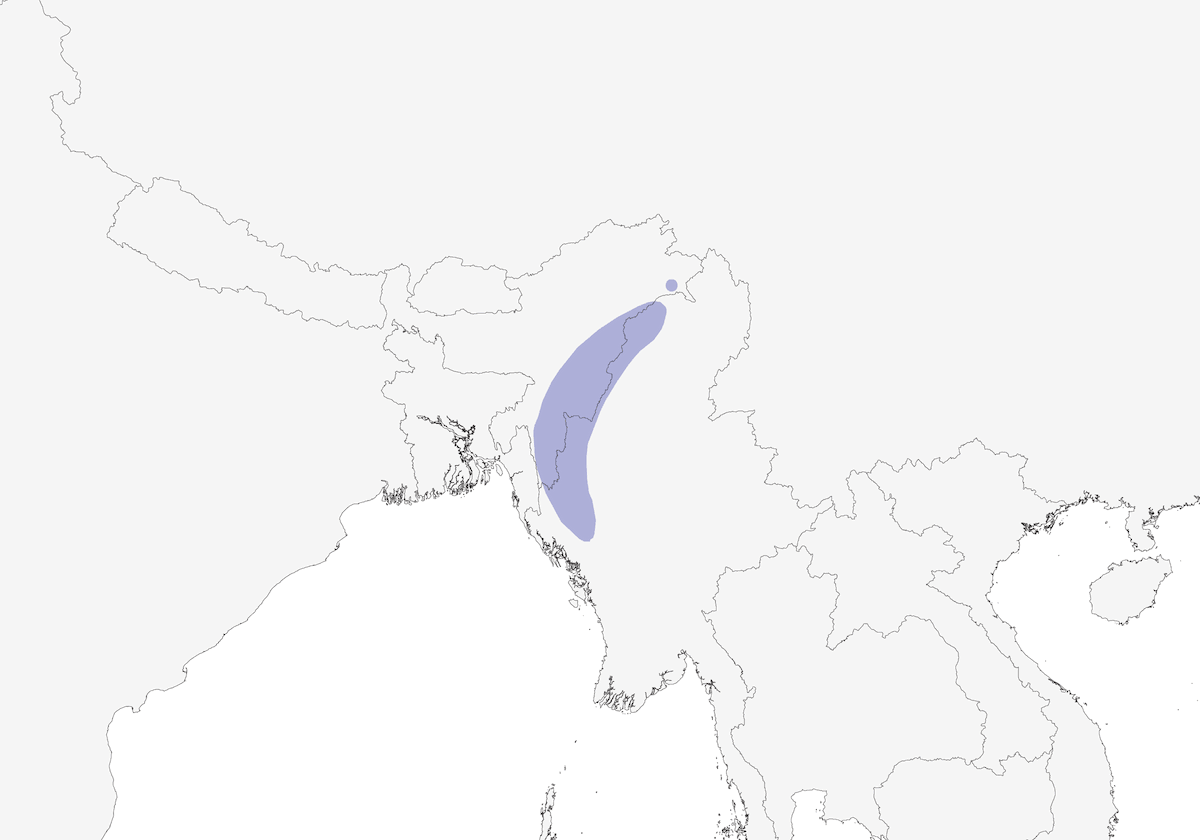 Garrulo striato, Distribuzione 1