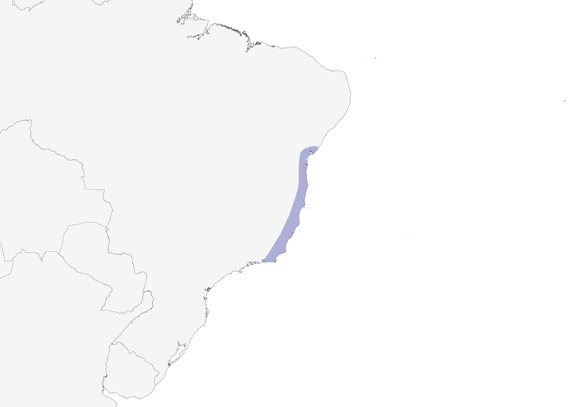 Saltarín reyezuelo, Distribución 1