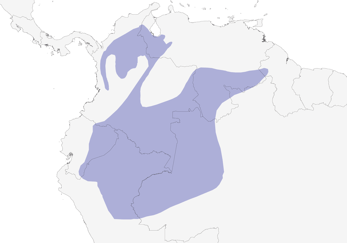 Manachino striato, Distribuzione 1