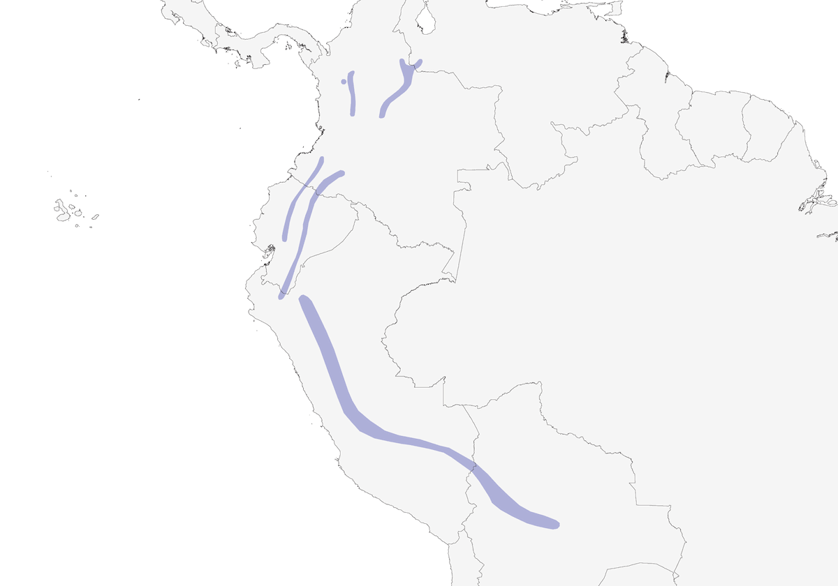 Perlador rayado, Distribución 1