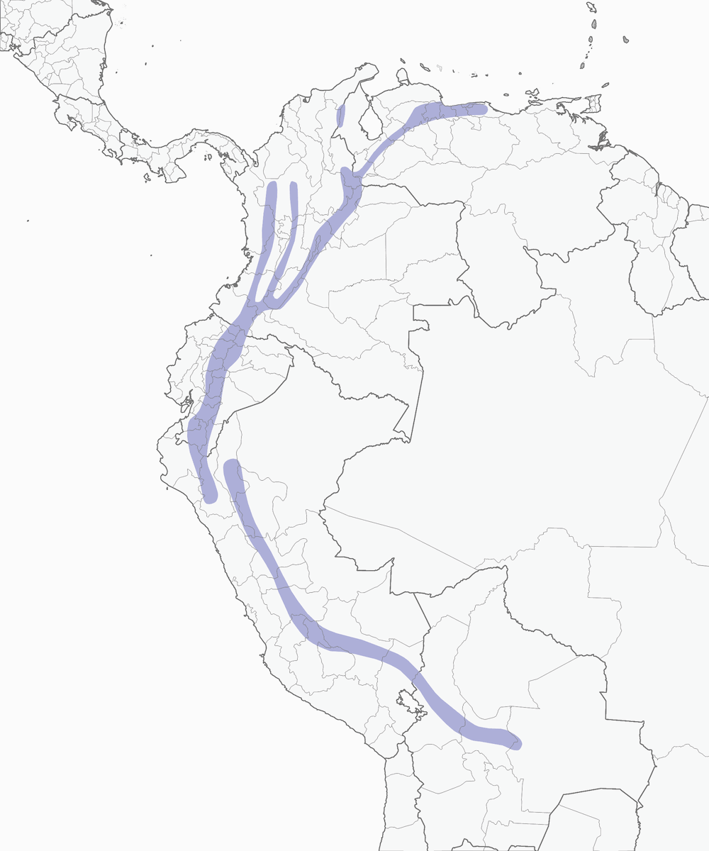 Pseudocolaptes striato, Distribuzione 1