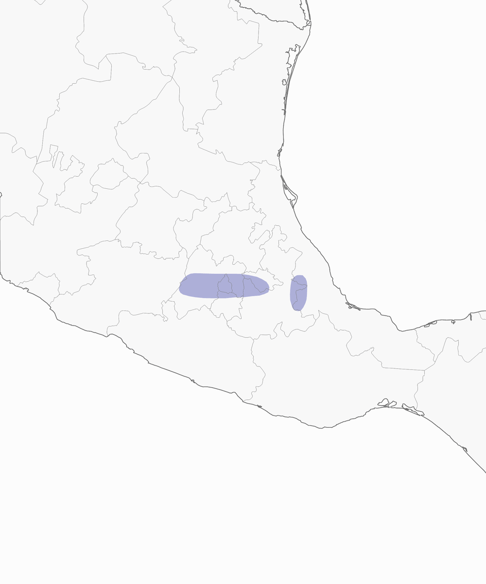Strickland's Woodpecker, Distribution 1