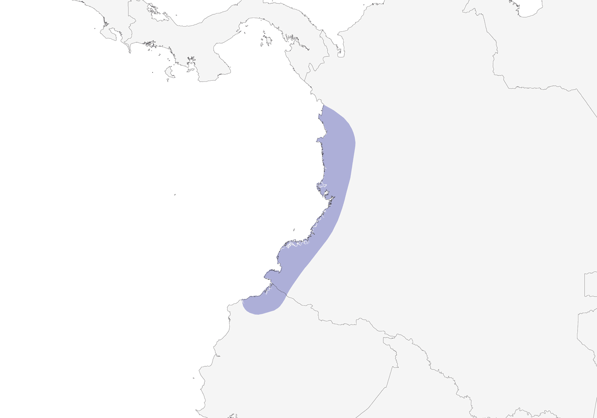 Hormiguero colicorto, Distribución 1