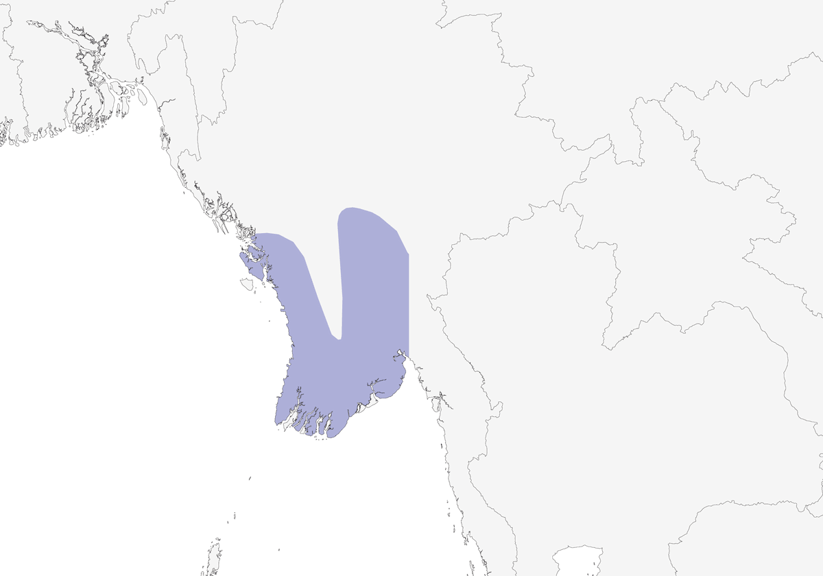 Bulbul Ojipálido, Distribución 1