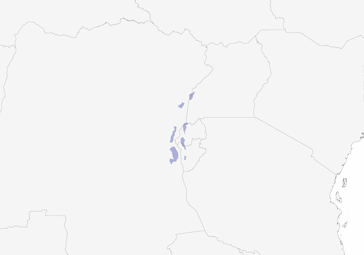 Stuhlmann's Sunbird, Distribution 1