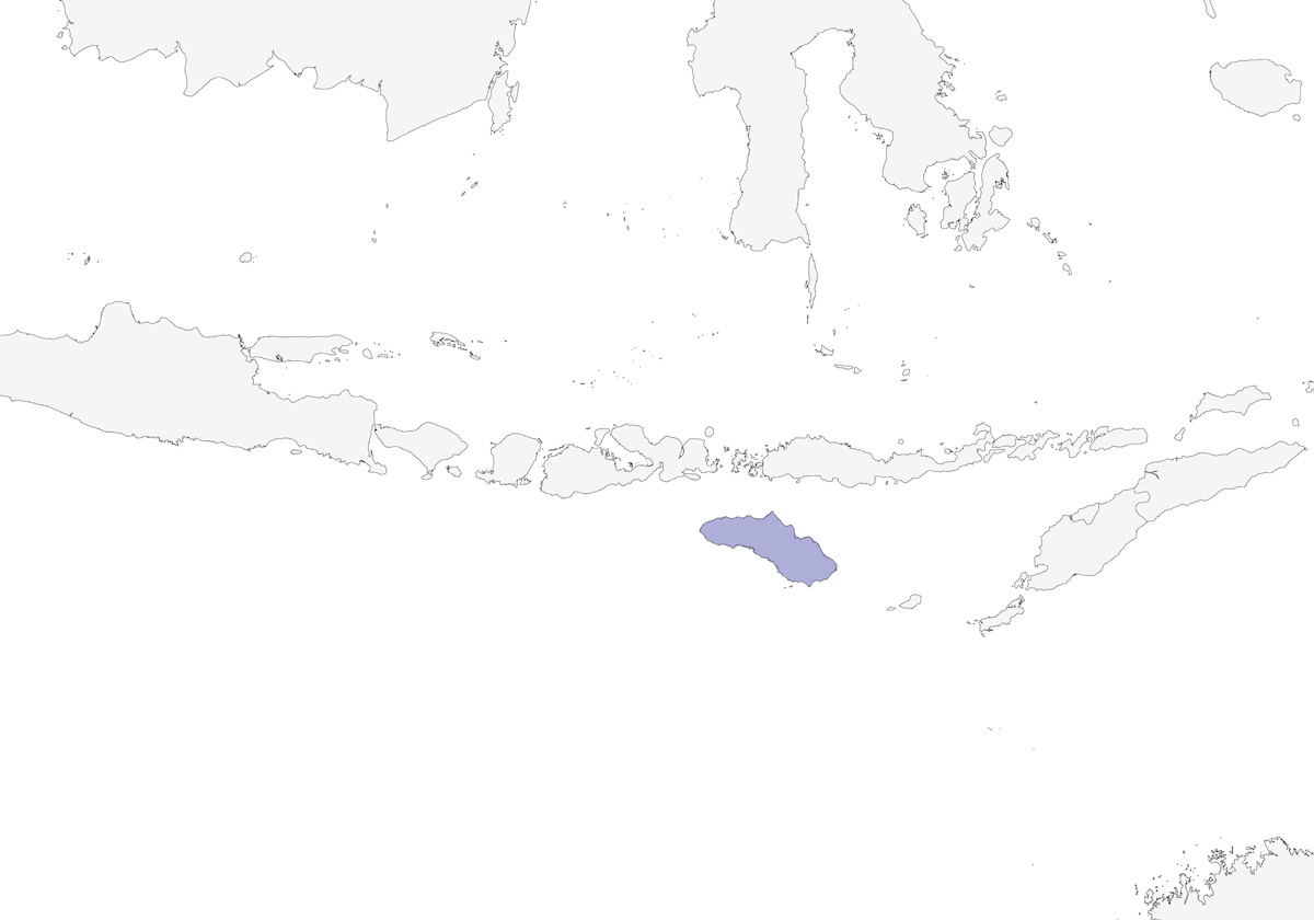 Pigliamosche bruno di Sumba, Distribuzione 1