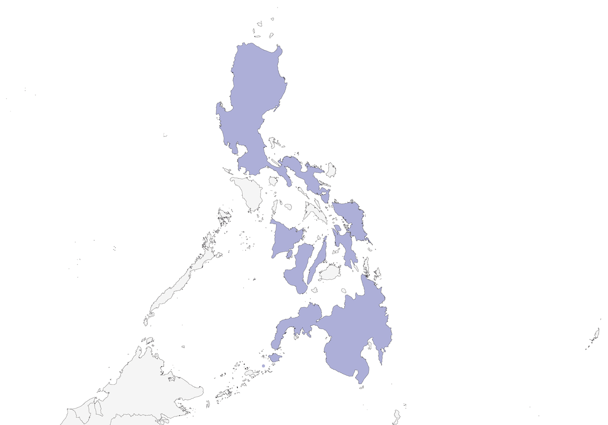 Sittelle des Philippines, Distribution 1
