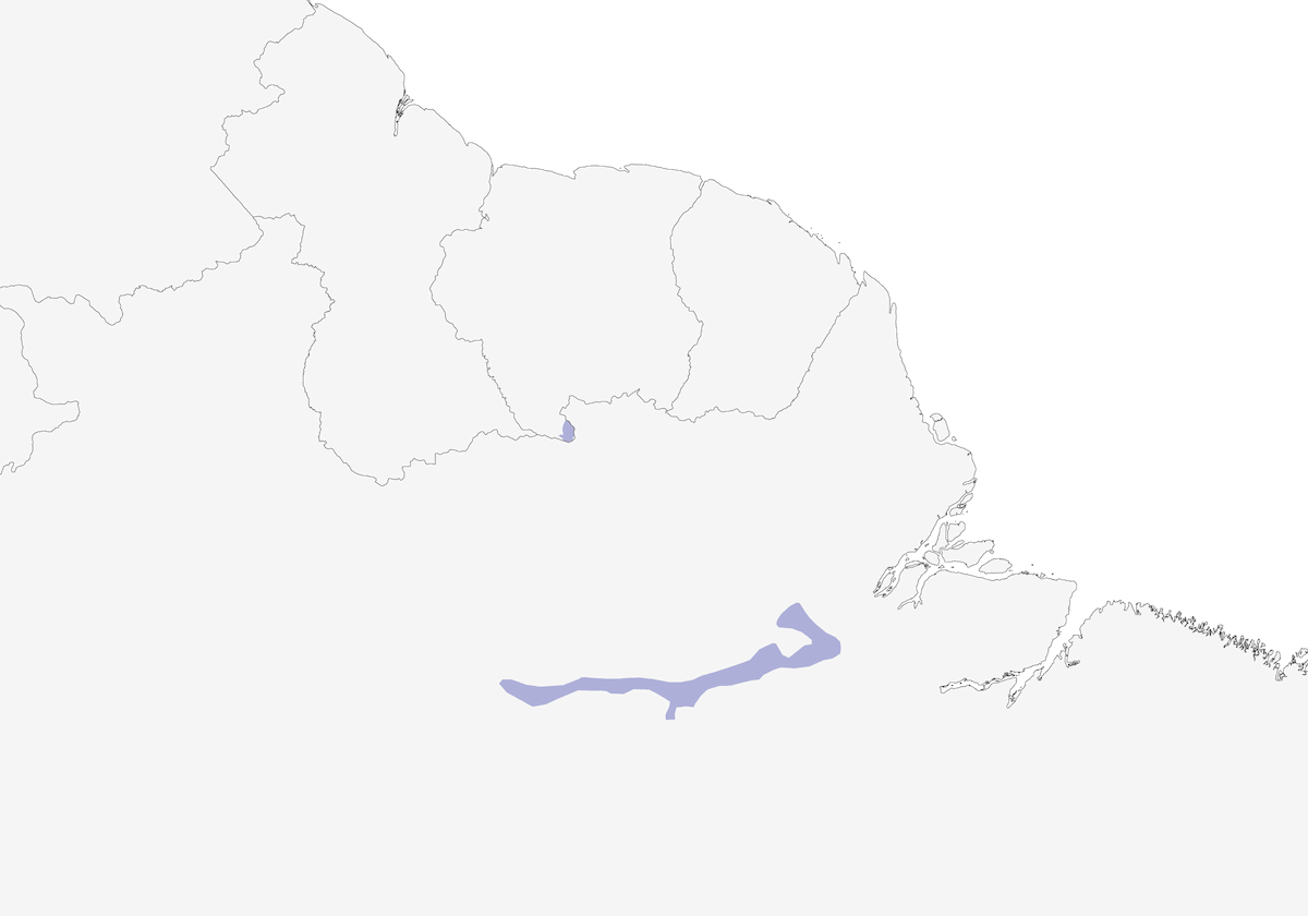 Parrocchetto petto sulfureo, Distribuzione 1