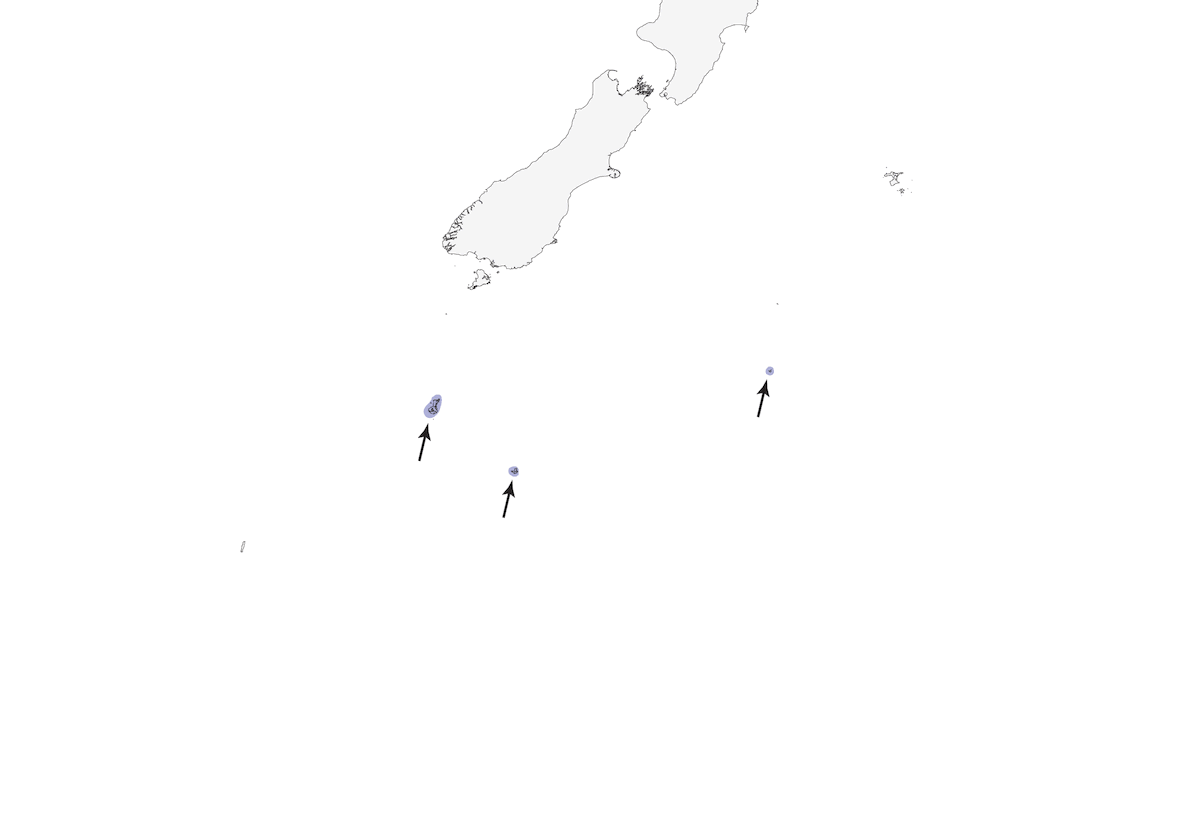 Subantarctic Snipe, Distribution 1