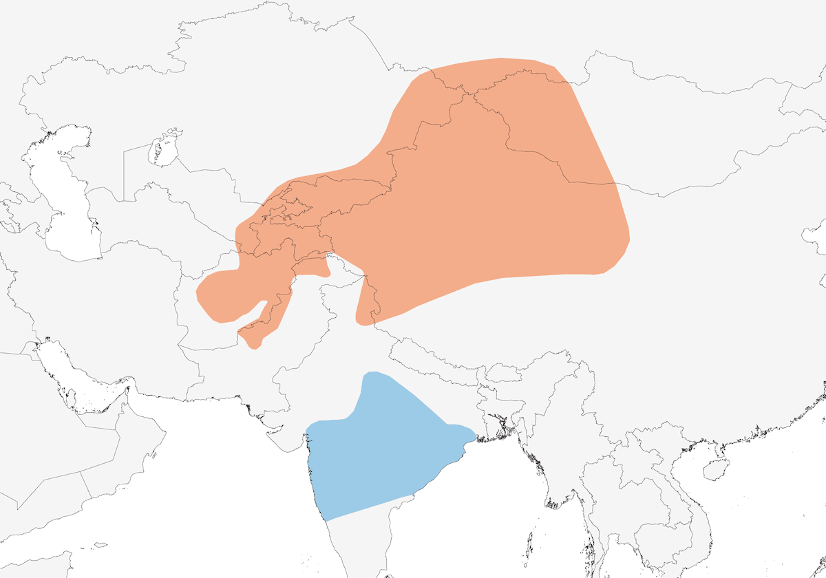 Sulphur-bellied Warbler, Distribution 1