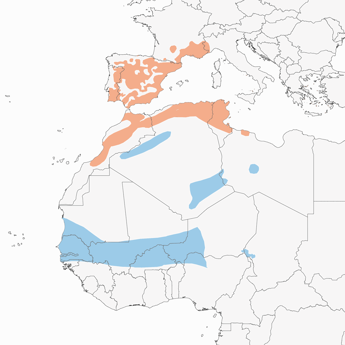 Bigia subalpina occidentale, Distribuzione 1