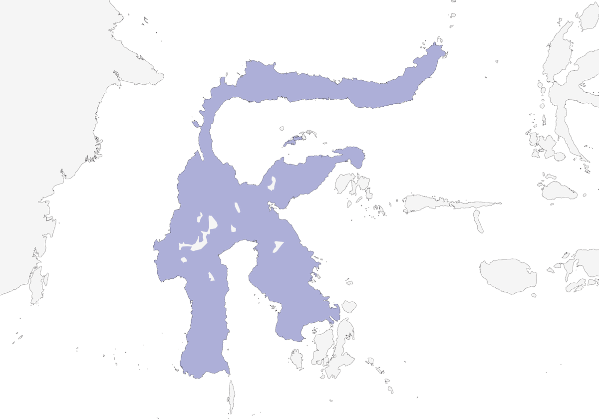 Paloma Terrestre de Célebes, Distribución 1