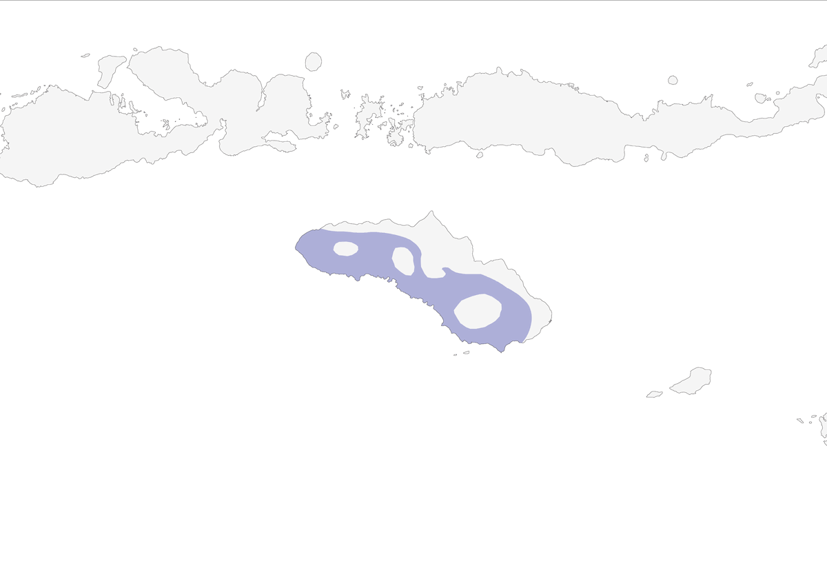 Piccione verde di Sumba, Distribuzione 1