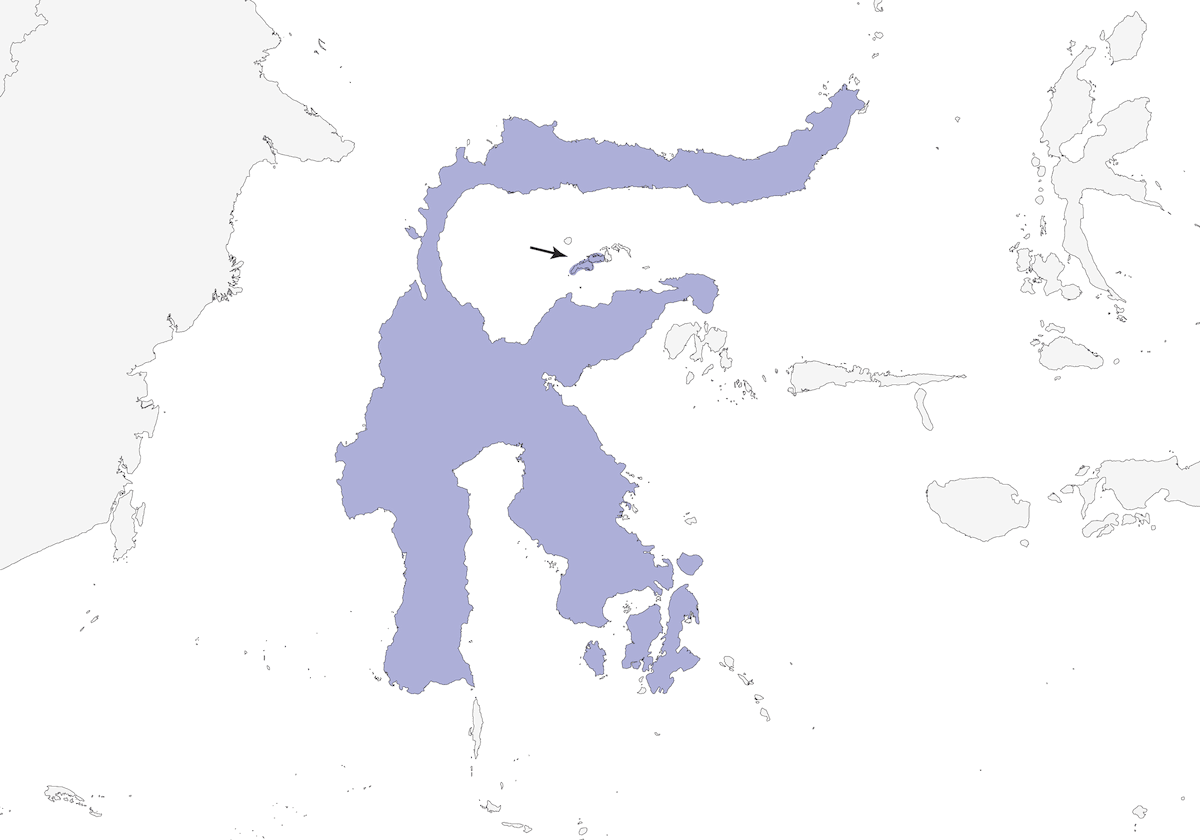 Sulawesi-Timalie, Verbreitung 1
